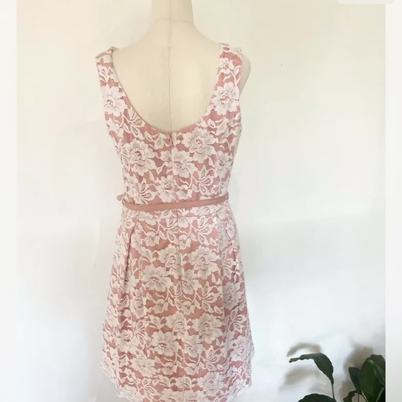 Review Pink and White Lace Dress With Belt Knee Length Fit and Flare Size 12 - Picture 3 of 7